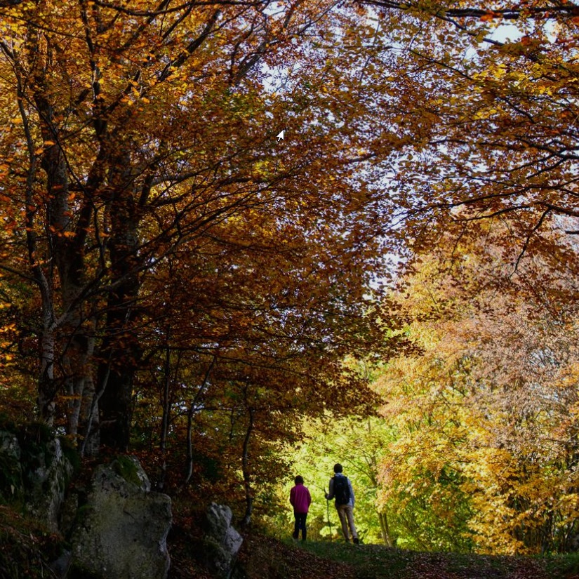 Randonnée_Ardèche_Image_2